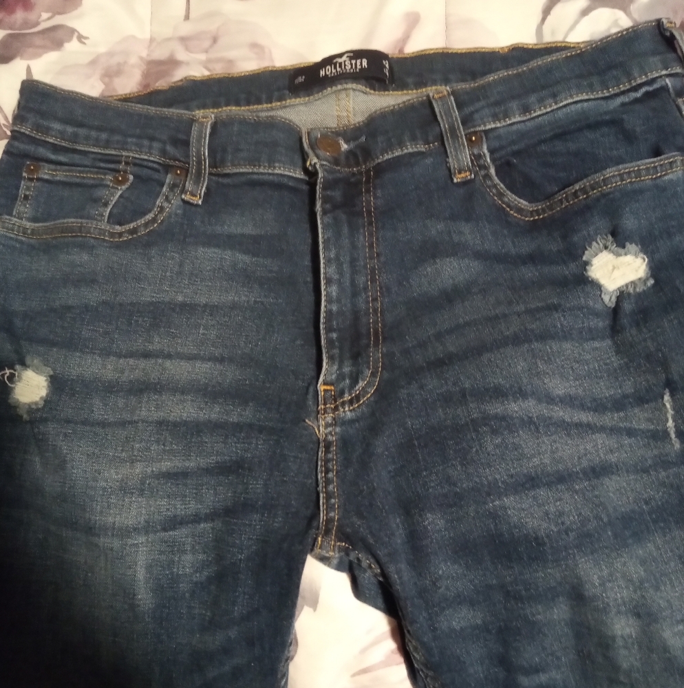 HOLLISTER